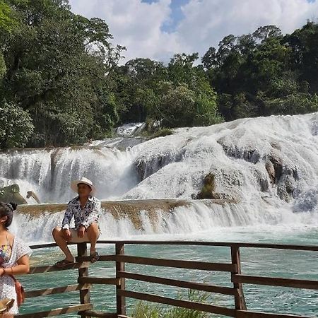 Posada Tzeltal Arroyo Agua Azul ภายนอก รูปภาพ