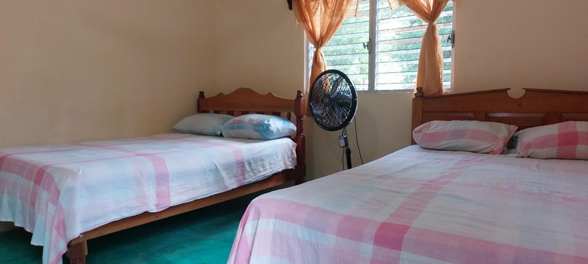 Posada Tzeltal Arroyo Agua Azul ภายนอก รูปภาพ