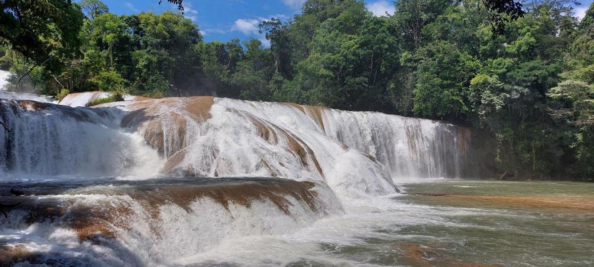 Posada Tzeltal Arroyo Agua Azul ภายนอก รูปภาพ